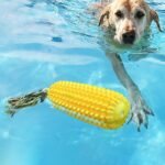 PROKEl Dog Chew Toys Corn Stick Toy For Smal  MediumLarge Breed 5.8   Squeak Corn Stick Ropetoy - Image 3