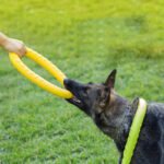 Pet Dog Training Toy Pull Ring - Image 7
