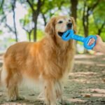 Dog Bones For Aggressive Chewers, Dog Chews Toys Long Lasting, Interactive Dog Bone Toys With Pull Band, Dog Teething Toy - Image 7