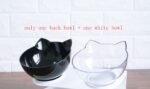 New Inclined Food Cat Ear Oblique Mouth Transparent Single Pet Bowl - Image 3