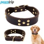 Dog collar