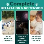 Hemp Calming Chews For Dogs Dog Anxiety Relief  Health And Wellness Supplements - Image 3