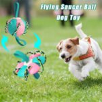 Interactive Dog Football Soccer Ball With Tabs Inflated Training Toy Outdoor Border Collie Balls Pet Products - Image 5