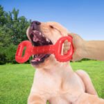 Dog Bones For Aggressive Chewers, Dog Chews Toys Long Lasting, Interactive Dog Bone Toys With Pull Band, Dog Teething Toy - Image 8