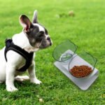 Kitten Bowl Pet Cervical Support Feeding Food Basin - Image 2