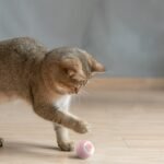 Automatic Moving Bouncing Rolling Ball Smart Cat Toy Ball Self-Moving Kitten Toy For Indoor Cat Kitten - Image 4