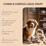 Pet Vitamin B Complex Drops - Image 2