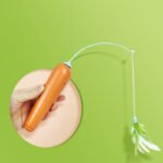 2 In 1 Pet Cat Toy With Feather For Self-play Cat Turntable Pets Supplies Cat Toy Toys Cats Items Products - Image 3