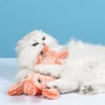 Cleaning Pet Hair Comb Supplies - Image 10