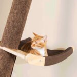 Solid Wood Large Cat Climbing Frame Cat Litter Cat Tree One Cat Shelf - Image 4