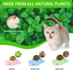 Catnip Ball Catnip Balls For Cats Wall Silvervine For Cats Piece Silvervine Catnip Cat Toys For Indoor Cats Edible Cat Nips Organic Ball - Image 2