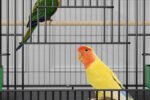 Home Fashion Personality Double Layer New Bird Cage - Image 7