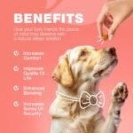 Dog Flea And Tick Treatment Chews - Image 2