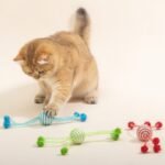 Cat Toy Self Hi Cats Sticks Cat Toys Interactive Ropes Ball Toys For Cats Teasing Bite-resistant Wool Ball Pet Products - Image 4