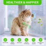 Catnip Ball Catnip Balls For Cats Wall Silvervine For Cats Piece Silvervine Catnip Cat Toys For Indoor Cats Edible Cat Nips Organic Ball - Image 8